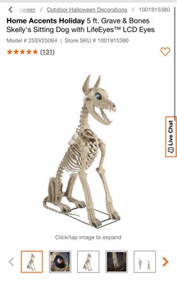 5 ft. Grave Bones Skelly's Sitting Dog with LifeEyes™ LCD Eyes