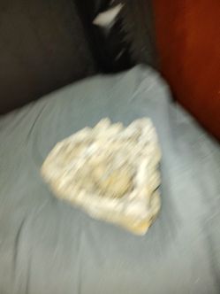 Petrified wood tray