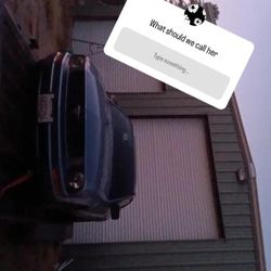 Run Good Looking For Trade Shoot Me Price To 