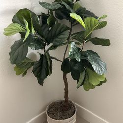 Fake Plant 5 Feet Tall