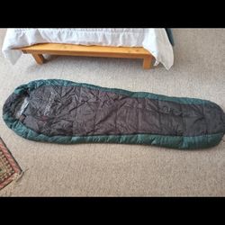 Sleeping bag