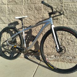 Stumpjumper 29" Custom  Single Speed Rigid Fork.15.5.lbs..