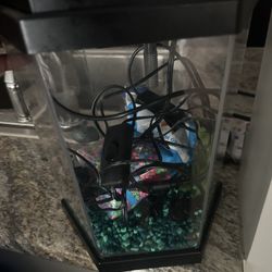 Small Fish Tank 