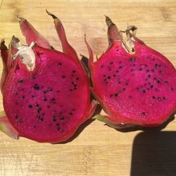 Red Dragon Fruit Plants
