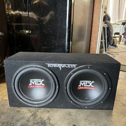 Dual 12 inch Subwoofer