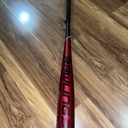 Baseball Bat Rawlings