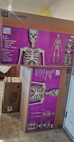 12ft Skeleton  halloween decoration