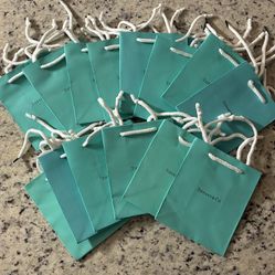 (15) Tiffany & Co Shopping Gift Bags & (4) Polishing Cloths   