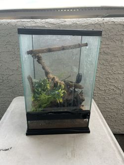 reptile Tank 12x12x18