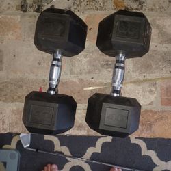 Two 40 Pound Dumbells 