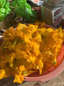 Flor de calabaza a la venta. Recién cortada.