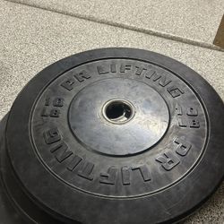 10 Pound Bumper Plates - The Good Ones!