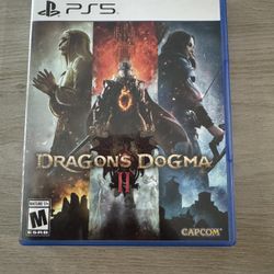 PS5 Dragons Dogma 2