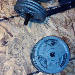 bench and single dumbell