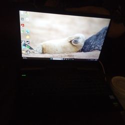 Hp Gaming Laptop
