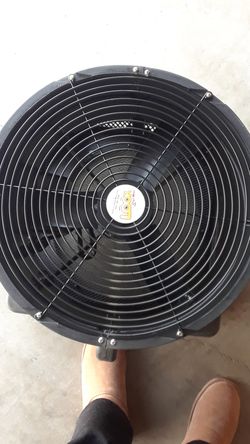 Advertising fan