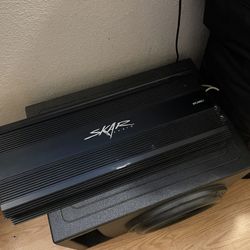 Subwoofer and amplifier