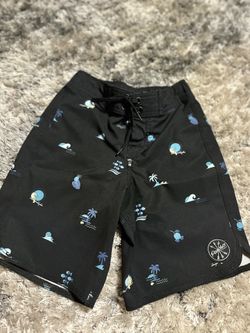 Toddler Boy Swim Trunks