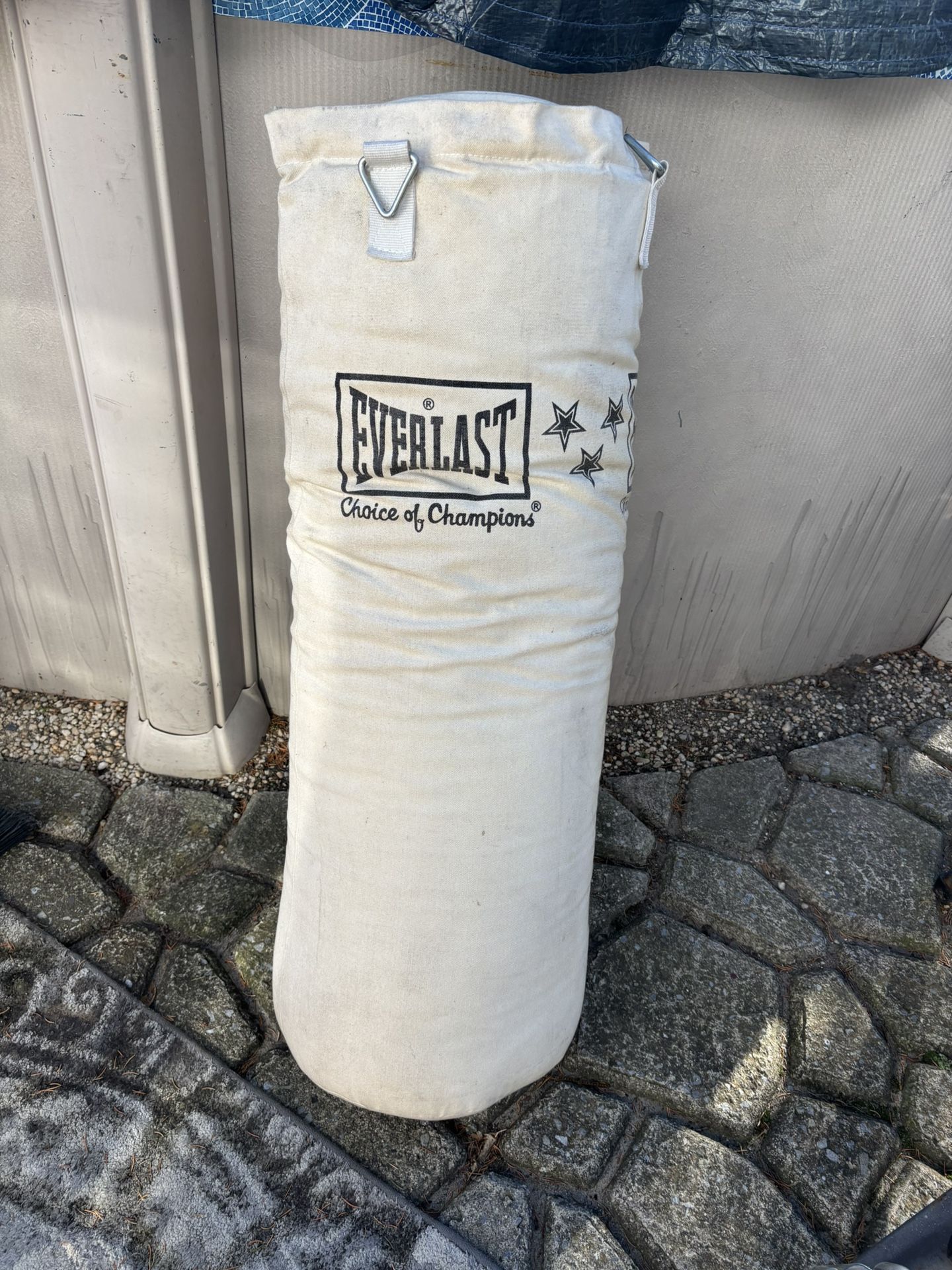 Everlast Punching Bag / Heavy Bag