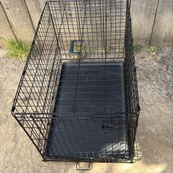 large animal crates 