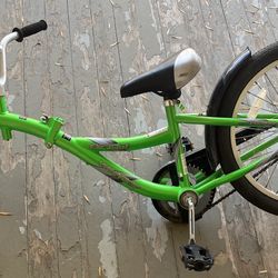 WeeRide Co-Pilot Bike Trainer
