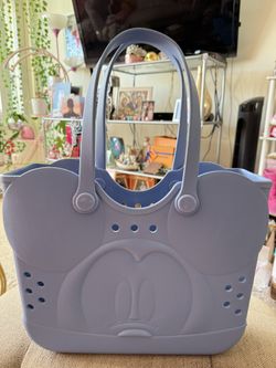 Disney Bogg Like Bag 