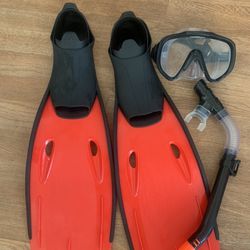 Snorkeling Gear 