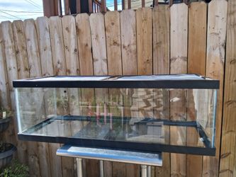 60 gal Reptile Tank with Screen Lids