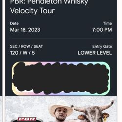 PBR Ticket Saturday