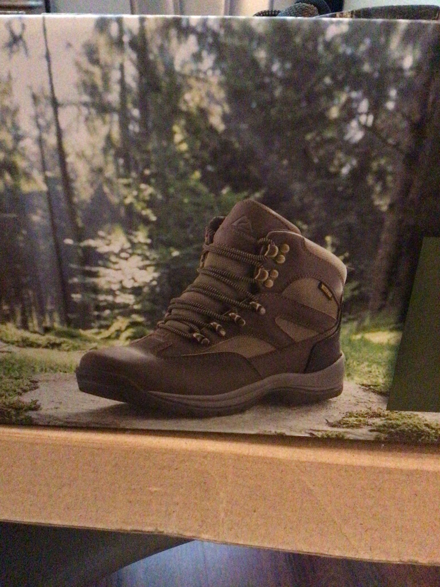 Hiking Boots