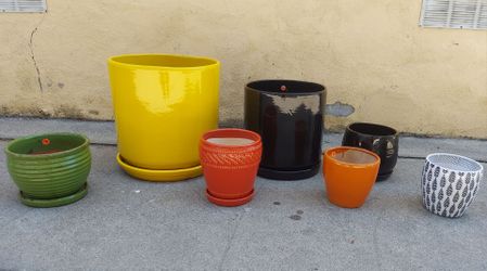 Various Plant Pottery