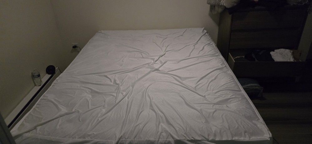 Queen Bed And Bed Frame