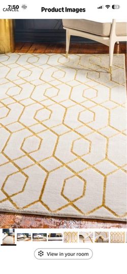 New rug