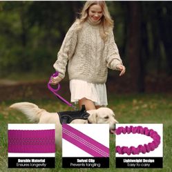 Heavy Duty Dog Leashes for Medium Small Dogs, No Pull Shock Absorbing Dog Leash with Car Seat Belt for Training, Pink with harness 