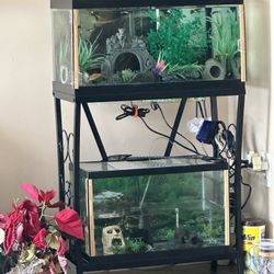 Set Of 15 And 10 Gallons Fish Tank