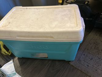 Large cooler
