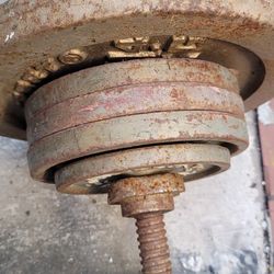 weights, curved curl bar, dumbbells 