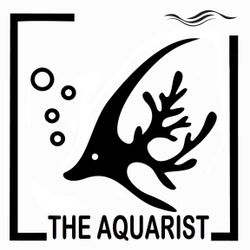 Aquarium / Fishtank Service 