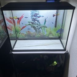 Fish Tank