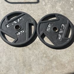 45lb Cap Weight Plates 