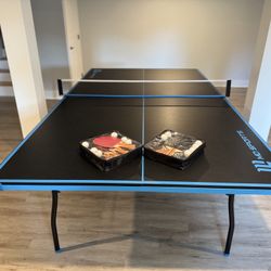 Ping Pong Table + Paddles 