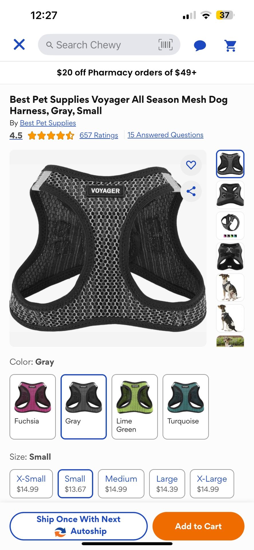 Dog Harness