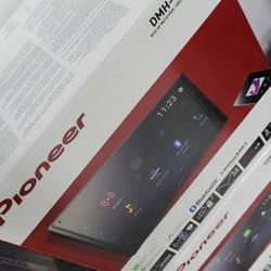Pioneer DHM-1700NEX 