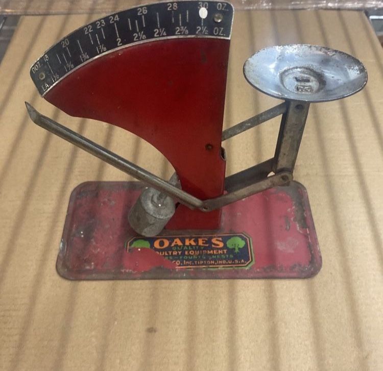 Oakes Poultry Equipment-Egg Scale