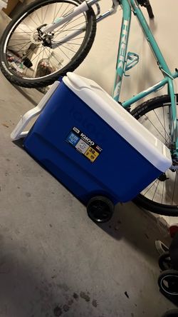 Igloo 38 Qt Hard Cooler Blue
