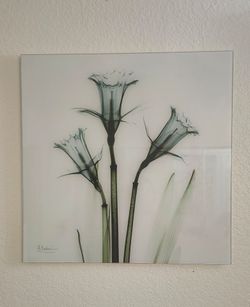 Set of 2 Albert Koetsier frameless fluoroscopy Glass panels