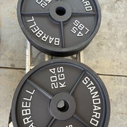 Pair Of 45 Pounds Olympic Weights  Like New  Out Of The Box Never Used 