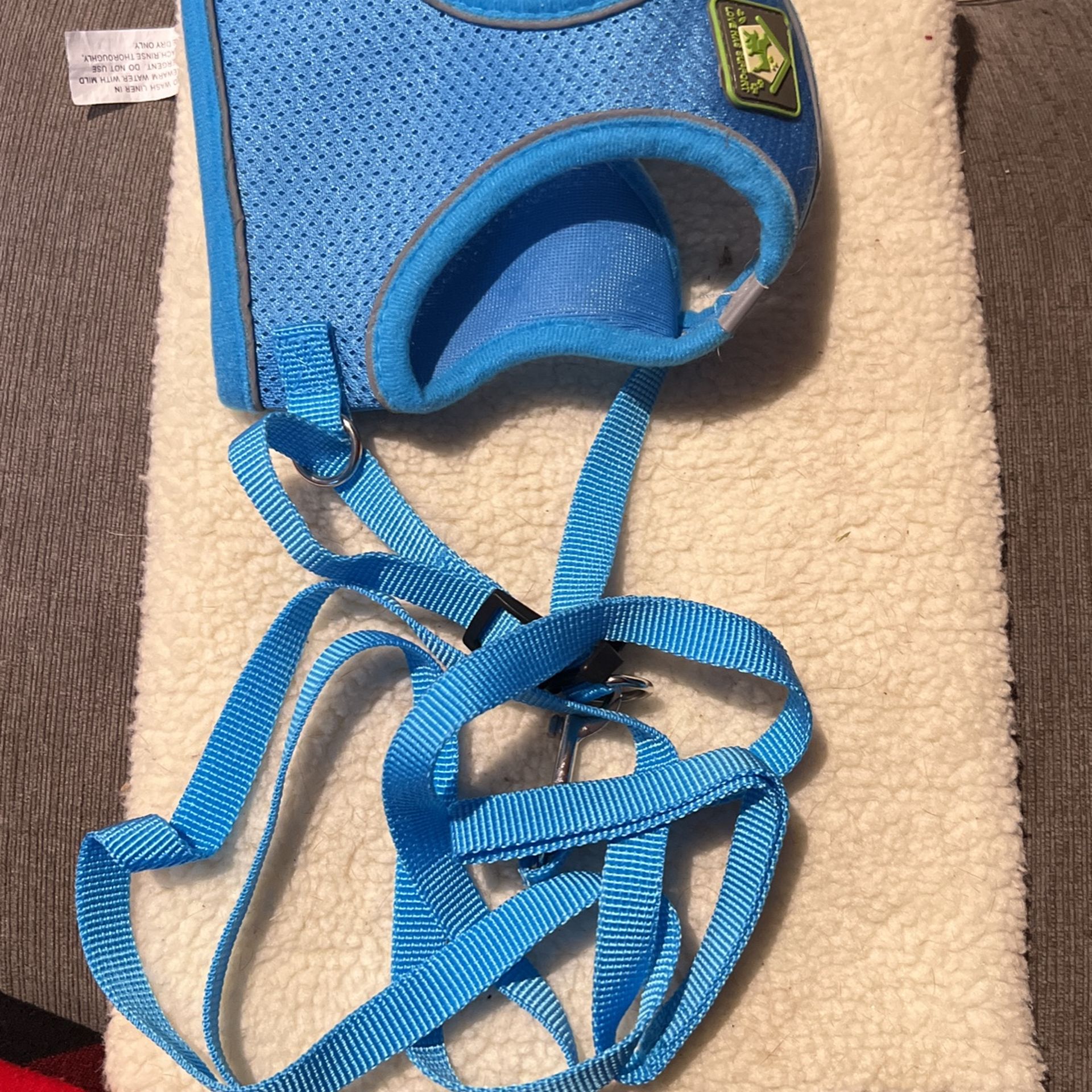 Dog Harness
