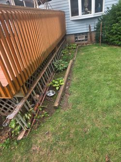 40 ft extension ladder