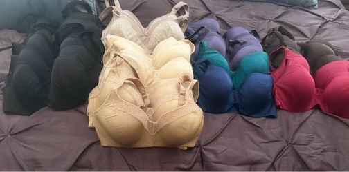 Women’s 36 D Bras